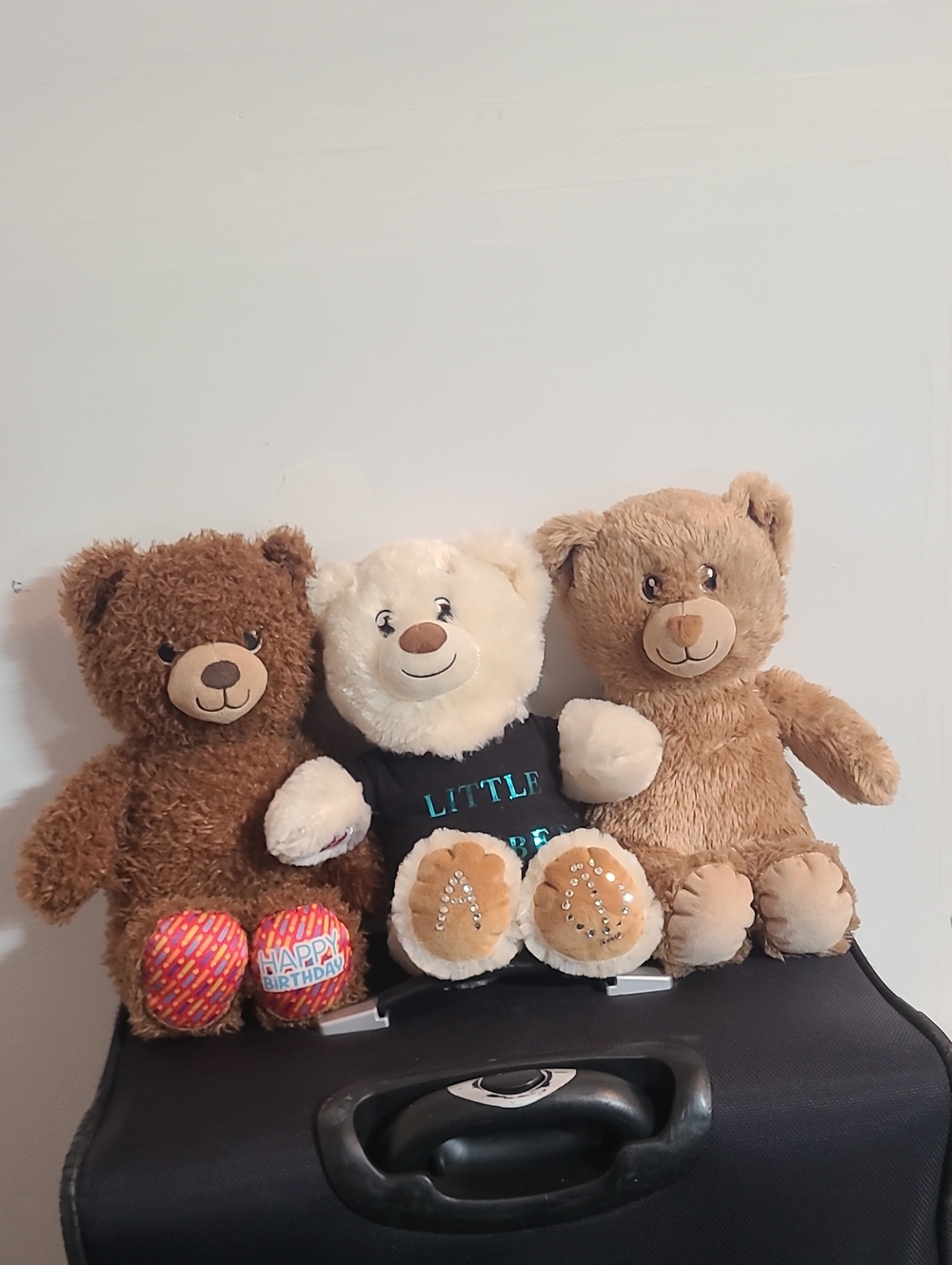 Build A Bear Bundle Brown White Plush Stuffed Animal Birthday Celebration Soft